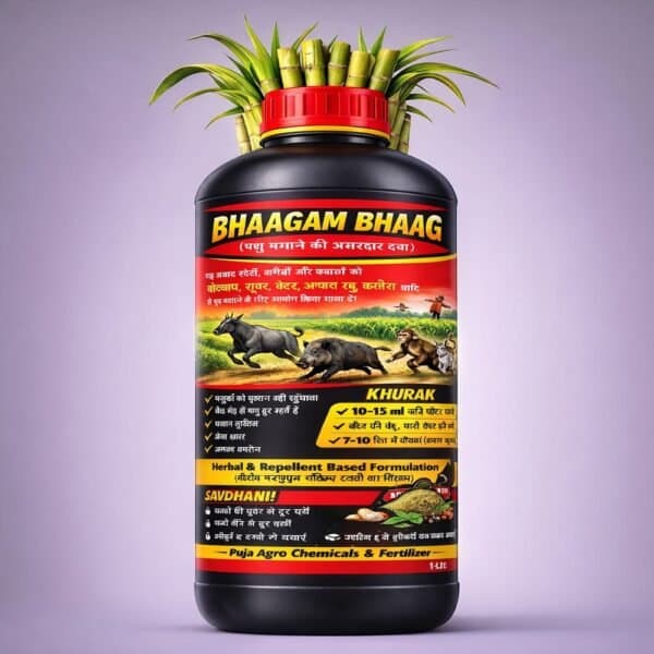 Bhaagam Bhaag