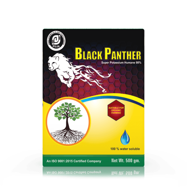 Black-Panther