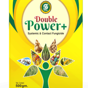 Double_Power+