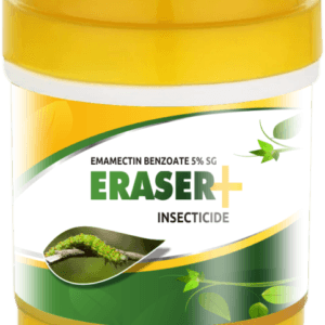 Eraser+