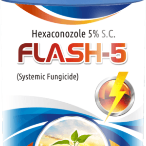 Flash-5