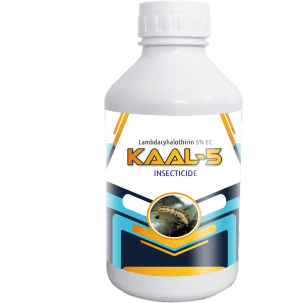 Kaal_5