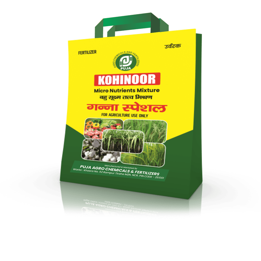 Kohinoor