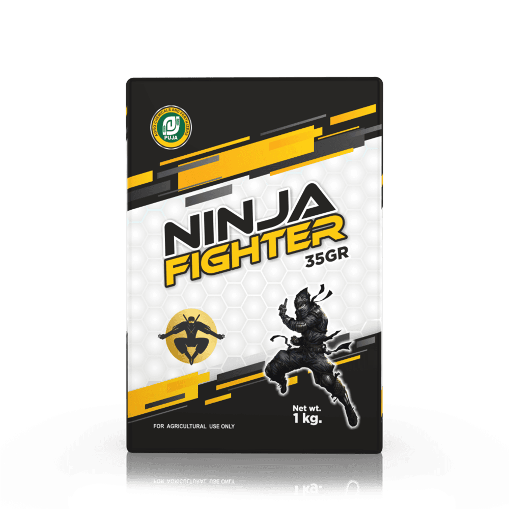 Ninja-Fighter