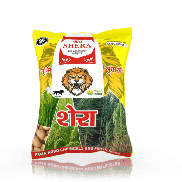 Shera