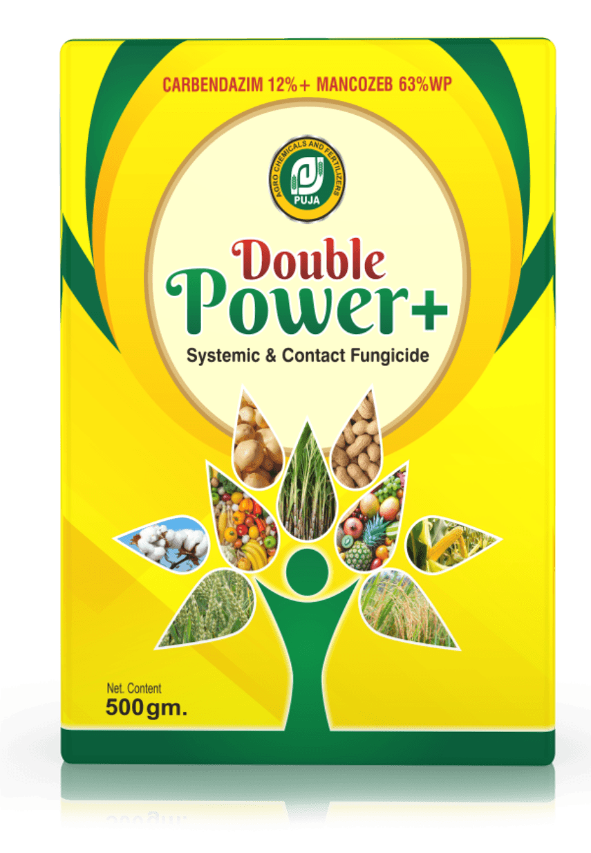 Double_Power+
