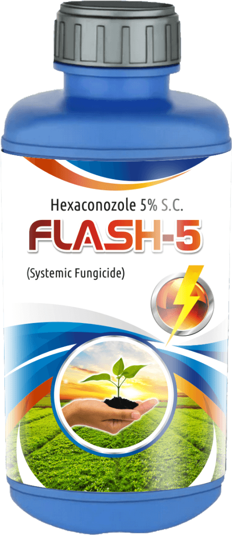 Flash-5