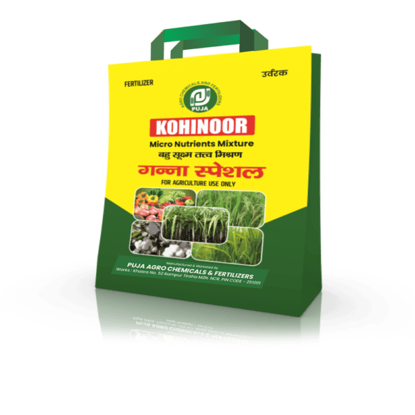 Kohinoor