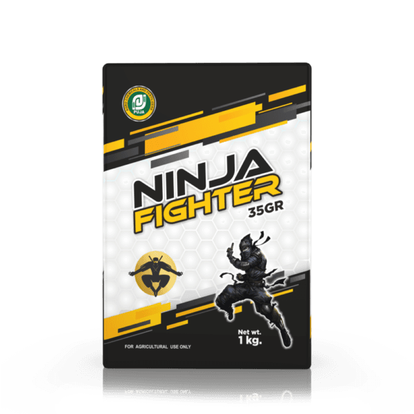 Ninja-Fighter