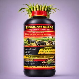 Bhaagam Bhaag