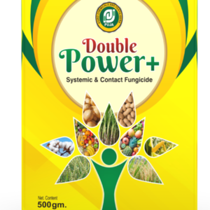 Double_Power+