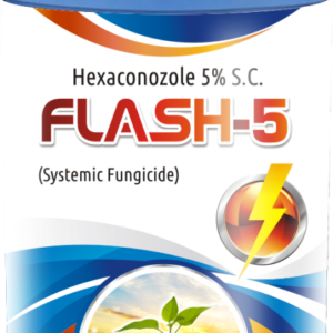 Flash-5