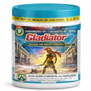 Gladiator