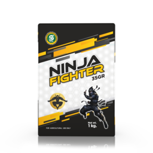 Ninja-Fighter