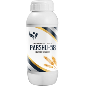 Parshu-58